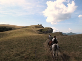 Sorties equestres dans le departement de la Loire